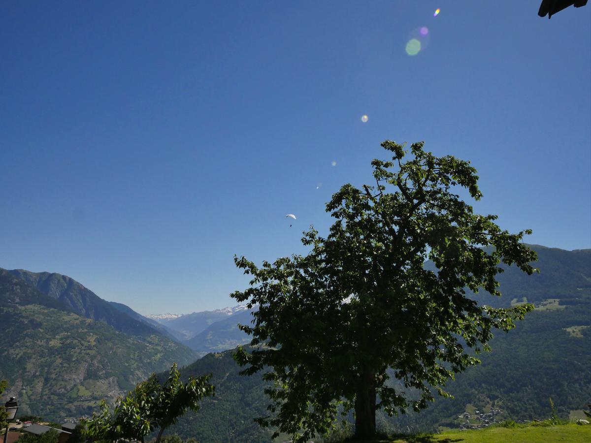 Hotel Alpenblick Zeneggen Екстер'єр фото